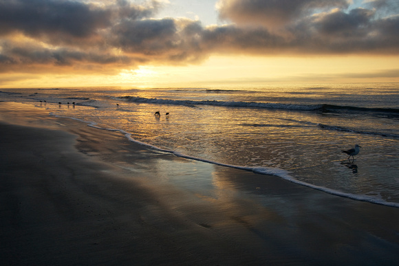 Beach Sunrise by Jim Crotty