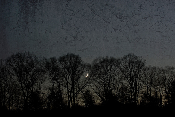 November Nightfall by Jim Crotty