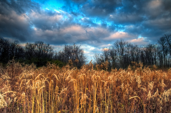 Ohio Nature and Landscape Photography by Jim Crotty