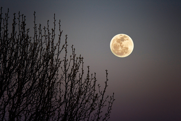 February Moon Over Frisco Texas | Photography by Jim Crotty