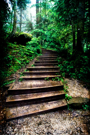 Steps at Cedar Falls by Jim Crotty