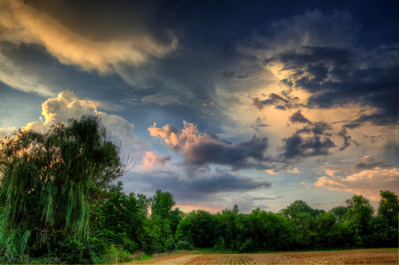 Willow and Summer Sky by Jim Crotty