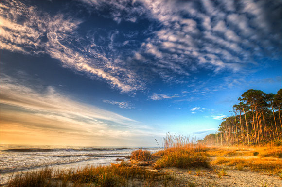 Hunting Island Photography by Jim Crotty 2