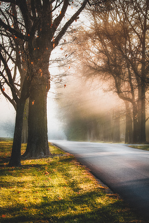 November on Conference Road by Jim Crotty