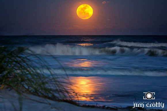 Easter Moon by Jim Crotty