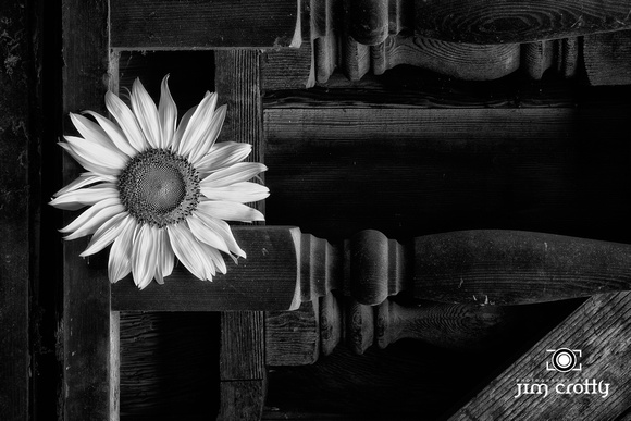 Contrast in the Barn by Jim Crotty
