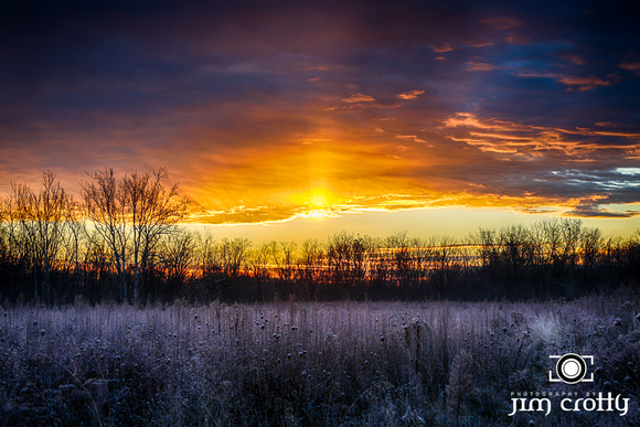 Winter Dawn by Jim Crotty