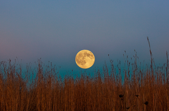 Hunters Moon by Jim Crotty