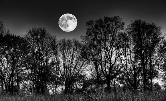 October Dusk at Sugarcreek Black and White by Jim Crotty