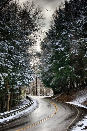 January Road by Jim Crotty