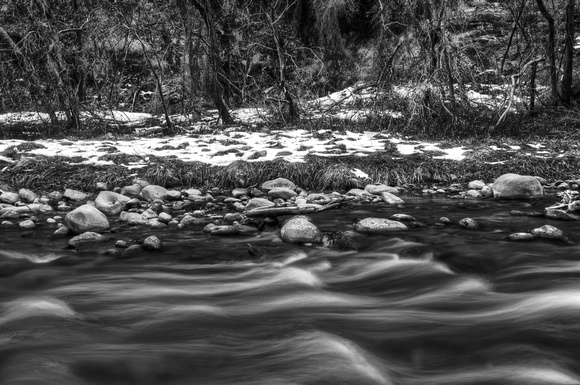 Virgin River in Zion Black and White by Jim Crotty