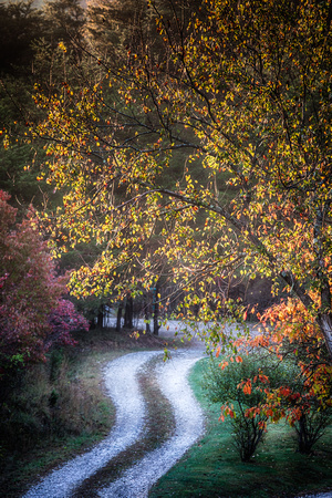 The Way In by Jim Crotty