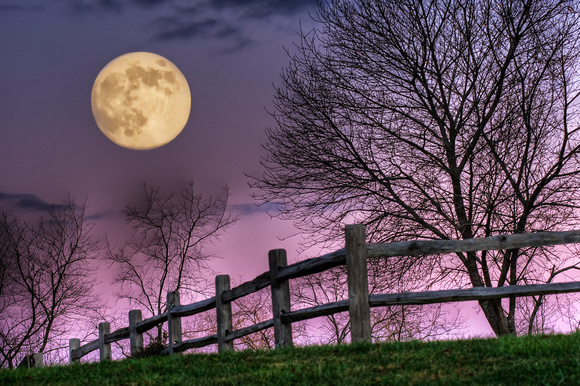 November Moon by Jim Crotty