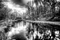 Autumn Pond in Black and White by Jim Crotty