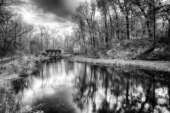 Autumn Pond in Black and White by Jim Crotty