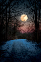 Wolf Moon Winter Path by Jim Crotty