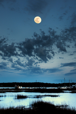 May Moon by Jim Crotty