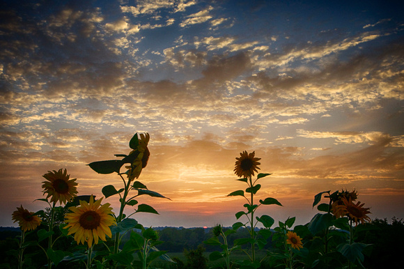 August in Ohio by Jim Crotty