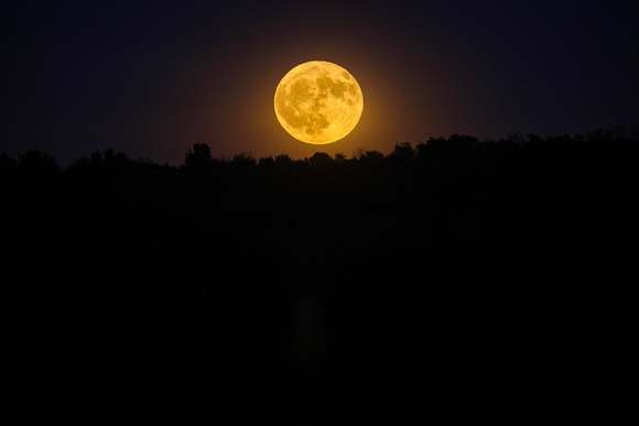 Hunters Moon Rising by Jim Crotty