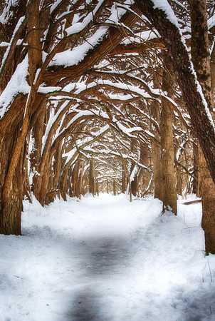 Winter at Orange Osage Tunnel by Jim Crotty