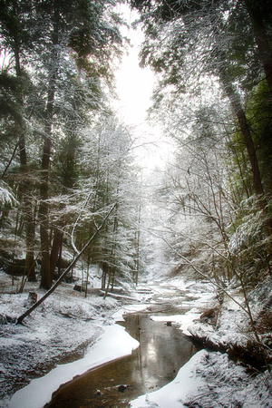 Winter Creek by Jim Crotty
