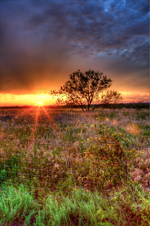 Sunrise in Frisco Texas