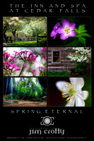 Spring Eternal at Inn at Cedar Falls PosterPrint by Jim Crotty