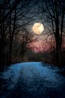 Wolf Moon Winter Path