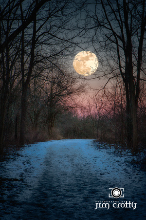 Wolf Moon Winter Path