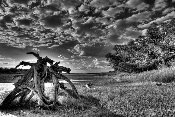 May Afternoon on the Marshland in Black and White by Jim Crotty