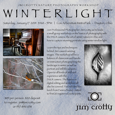 WinterlightWorkshopFlyerJanuary17FW
