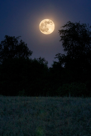 Full Honey Moon of June 2014 by Jim Crotty