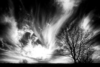 Winter Sky in Black and White by Ohio Nature Photographer Jim Crotty